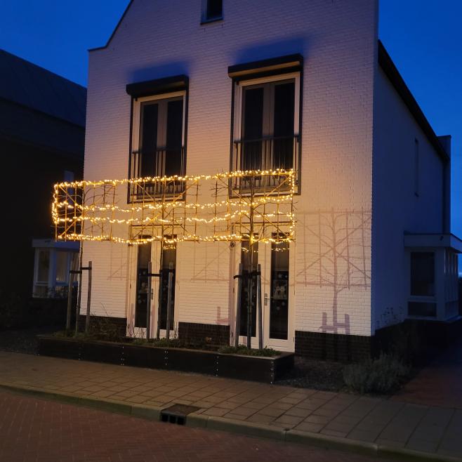 Leibomen met kerstverlichting